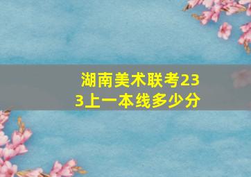 湖南美术联考233上一本线多少分