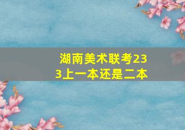 湖南美术联考233上一本还是二本