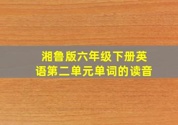 湘鲁版六年级下册英语第二单元单词的读音