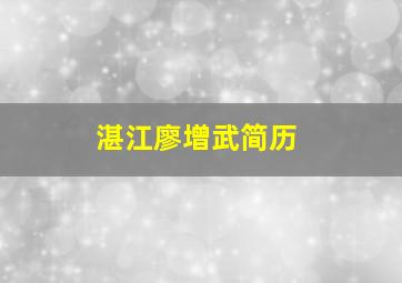 湛江廖增武简历