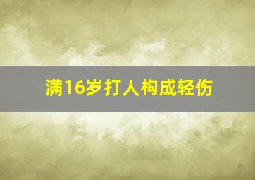 满16岁打人构成轻伤