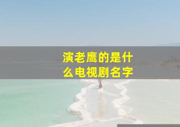 演老鹰的是什么电视剧名字