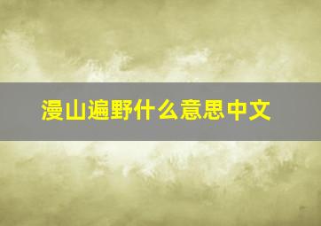 漫山遍野什么意思中文