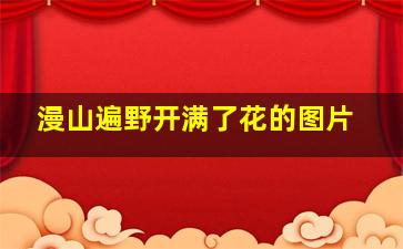 漫山遍野开满了花的图片