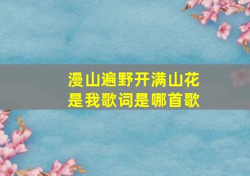 漫山遍野开满山花是我歌词是哪首歌