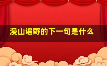 漫山遍野的下一句是什么