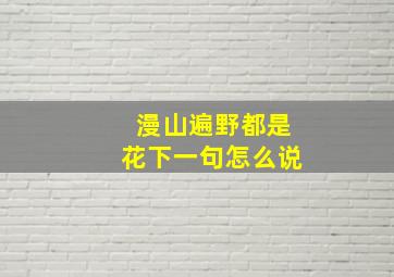 漫山遍野都是花下一句怎么说