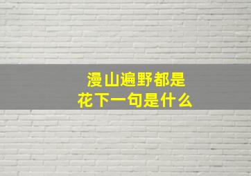 漫山遍野都是花下一句是什么