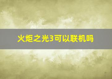 火炬之光3可以联机吗