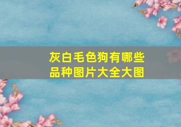 灰白毛色狗有哪些品种图片大全大图