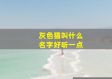 灰色猫叫什么名字好听一点