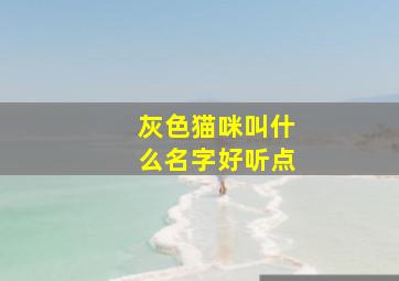 灰色猫咪叫什么名字好听点