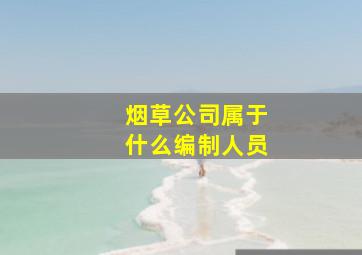 烟草公司属于什么编制人员