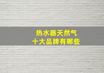 热水器天然气十大品牌有哪些