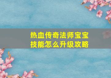 热血传奇法师宝宝技能怎么升级攻略