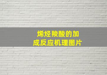 烯烃羧酸的加成反应机理图片