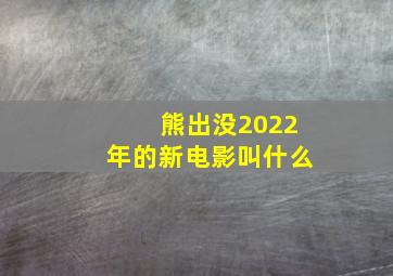 熊出没2022年的新电影叫什么