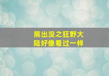 熊出没之狂野大陆好像看过一样