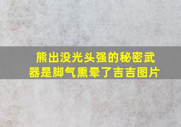 熊出没光头强的秘密武器是脚气熏晕了吉吉图片