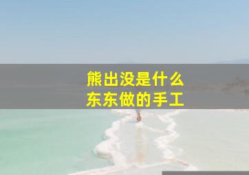 熊出没是什么东东做的手工