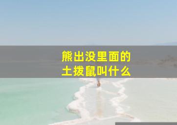 熊出没里面的土拨鼠叫什么