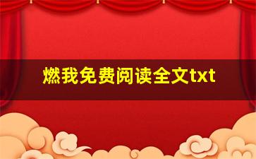 燃我免费阅读全文txt