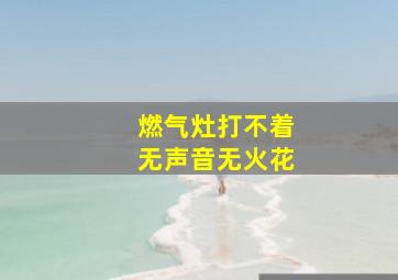 燃气灶打不着无声音无火花