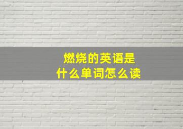 燃烧的英语是什么单词怎么读