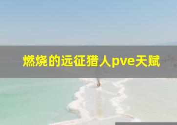 燃烧的远征猎人pve天赋