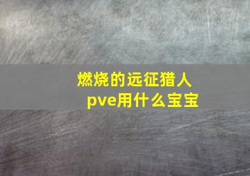 燃烧的远征猎人pve用什么宝宝