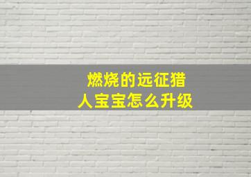 燃烧的远征猎人宝宝怎么升级