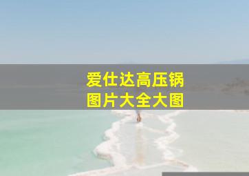 爱仕达高压锅图片大全大图