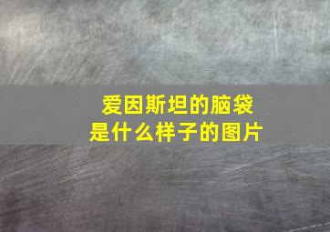 爱因斯坦的脑袋是什么样子的图片