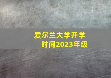 爱尔兰大学开学时间2023年级