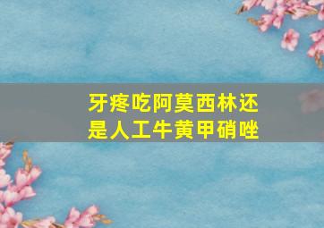 牙疼吃阿莫西林还是人工牛黄甲硝唑