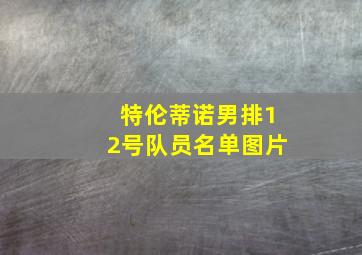 特伦蒂诺男排12号队员名单图片