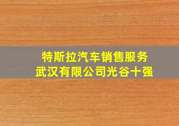 特斯拉汽车销售服务武汉有限公司光谷十强