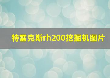 特雷克斯rh200挖掘机图片