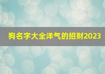 狗名字大全洋气的招财2023