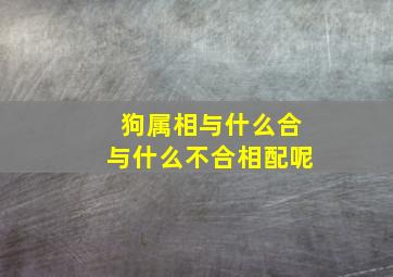 狗属相与什么合与什么不合相配呢