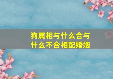 狗属相与什么合与什么不合相配婚姻