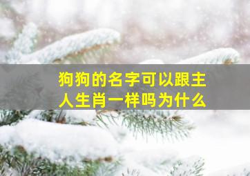 狗狗的名字可以跟主人生肖一样吗为什么