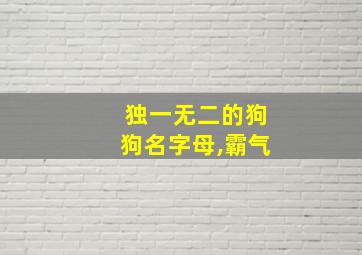 独一无二的狗狗名字母,霸气