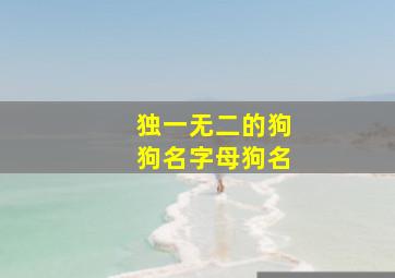 独一无二的狗狗名字母狗名