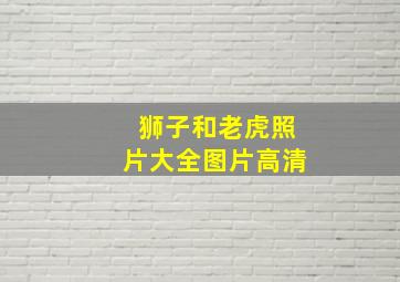 狮子和老虎照片大全图片高清