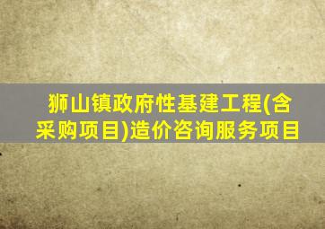 狮山镇政府性基建工程(含采购项目)造价咨询服务项目