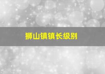 狮山镇镇长级别