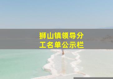 狮山镇领导分工名单公示栏