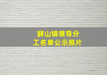 狮山镇领导分工名单公示照片