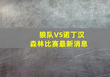 狼队VS诺丁汉森林比赛最新消息